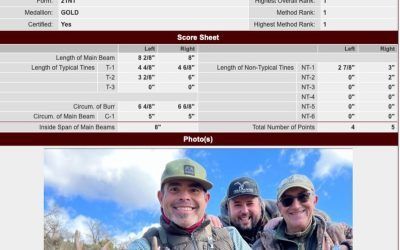 NEW WORLD RECORD ROE DEER