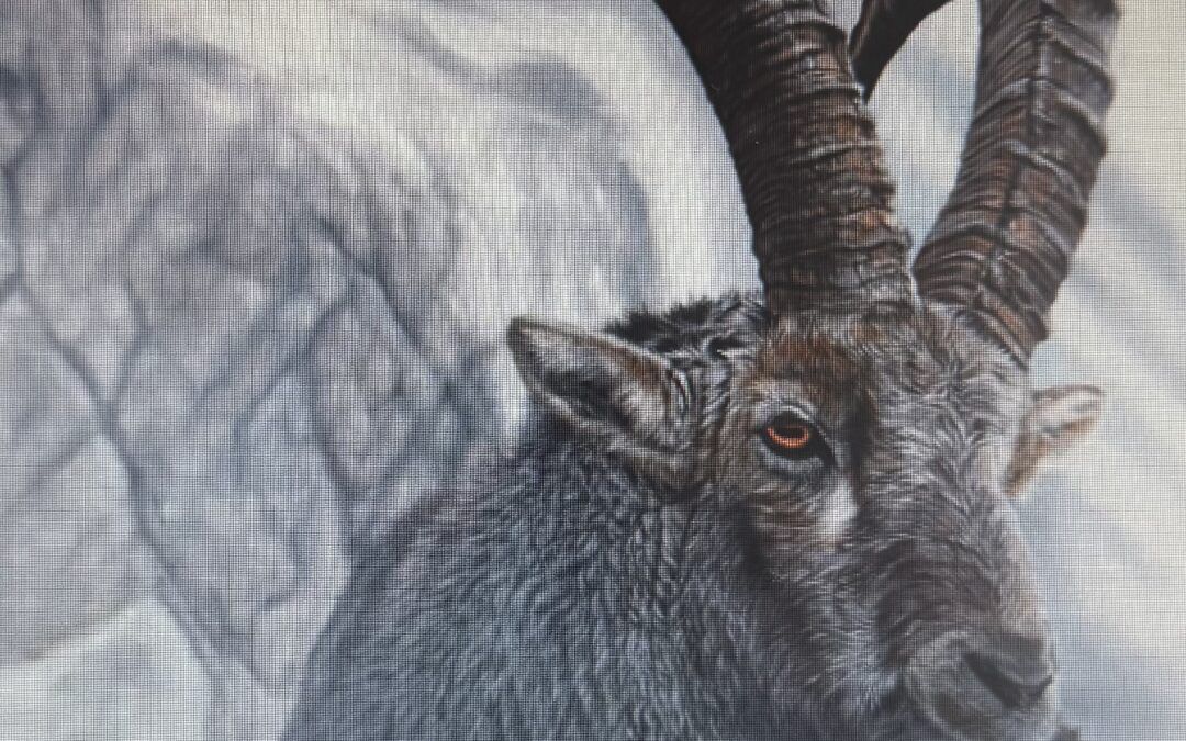 A New Love. American Couple Discovers Rich History, Quality Hunts in Spain
