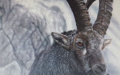 A New Love. American Couple Discovers Rich History, Quality Hunts in Spain
