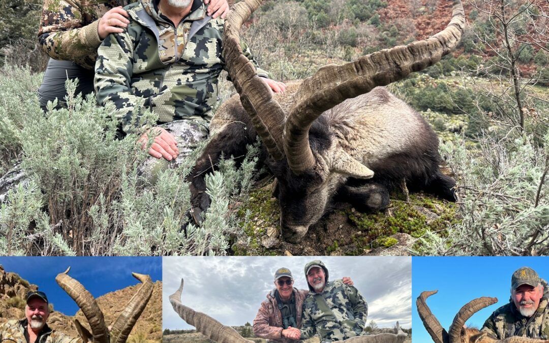 Trip 1, Mark B. Spain- Spanis ibex grand slam