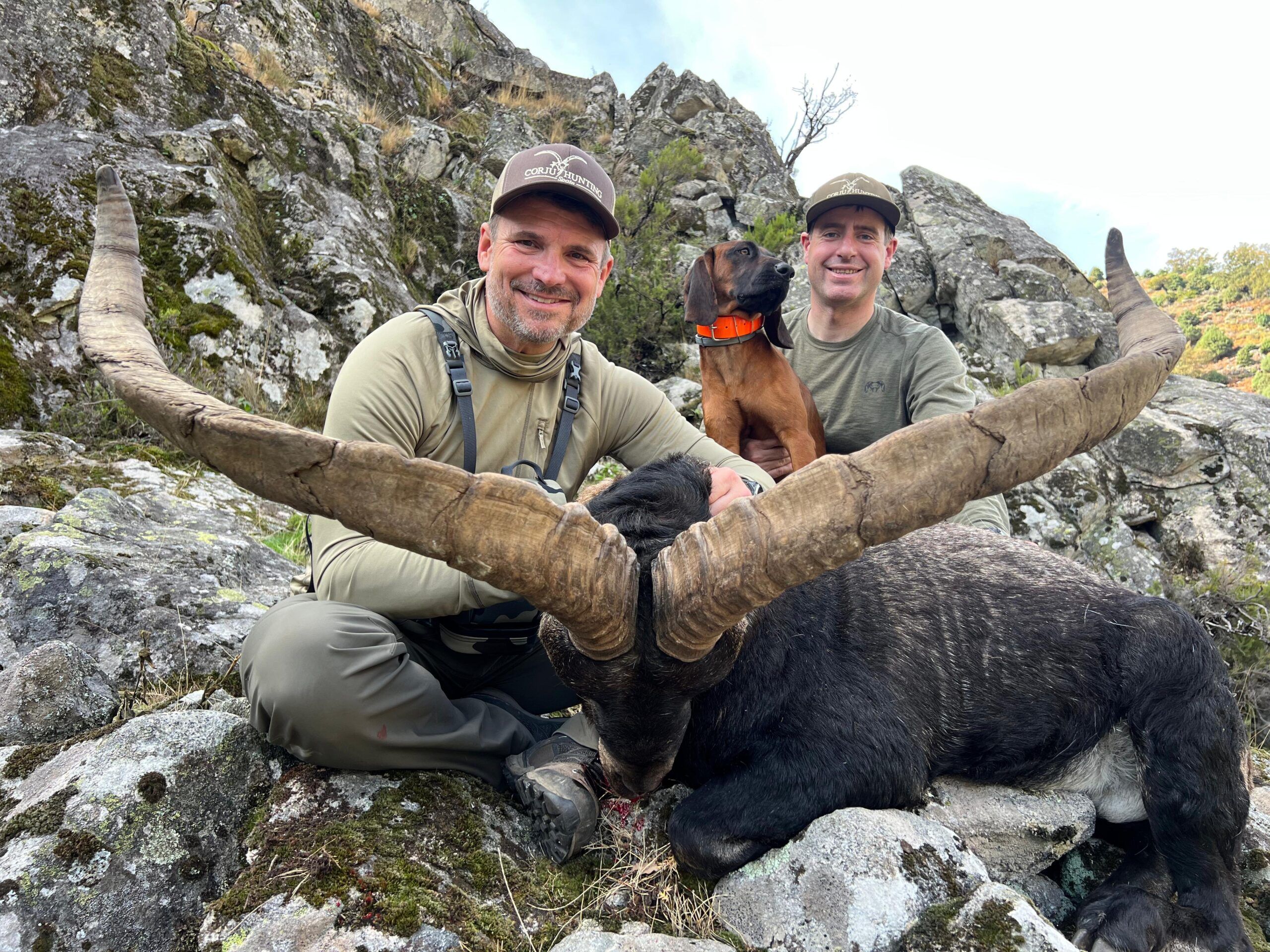 Gold medal ibex from Spain Giant gold medal Gredos ibex with a hunter and guide in Spain