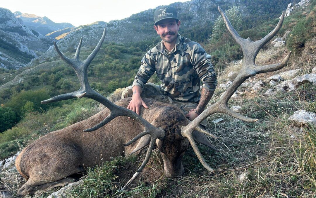 Iberian Red Stag Roar 2026